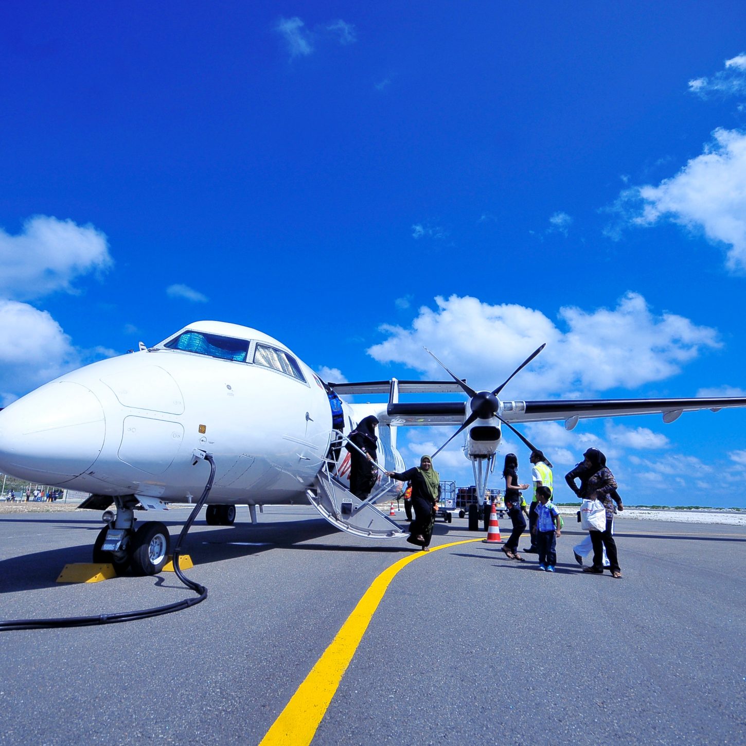 Как авиакомпании относятся к перевозке питомцев в салоне самолета? Часть 1