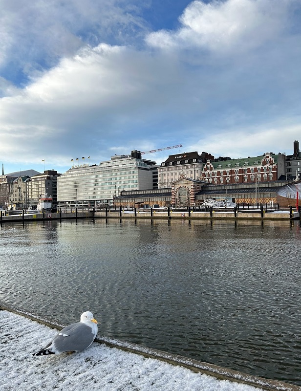 Мини-гайд: смотрим Хельсинки за день