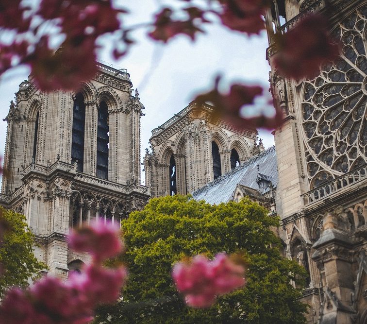 Собор Парижской Богоматери вновь откроется для публики в 2024 году