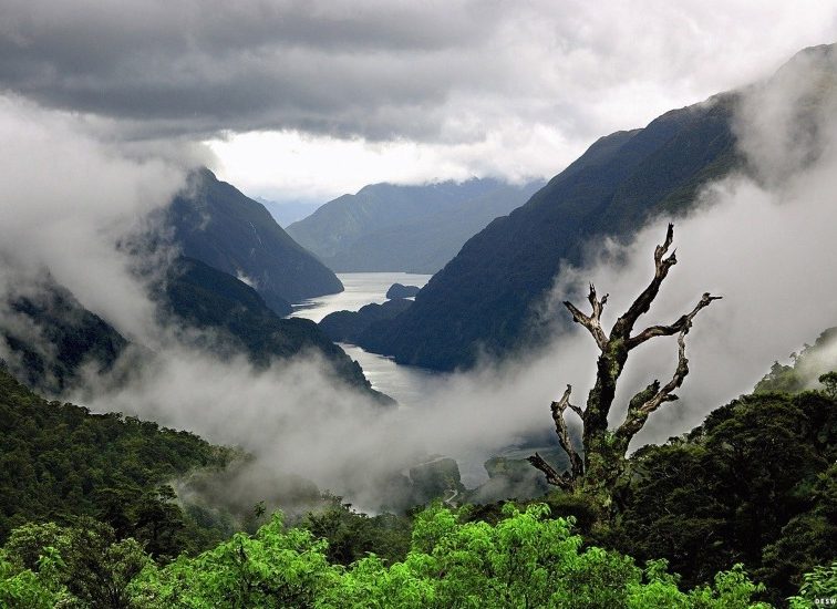 10 удивительных фактов о Новой Зеландии