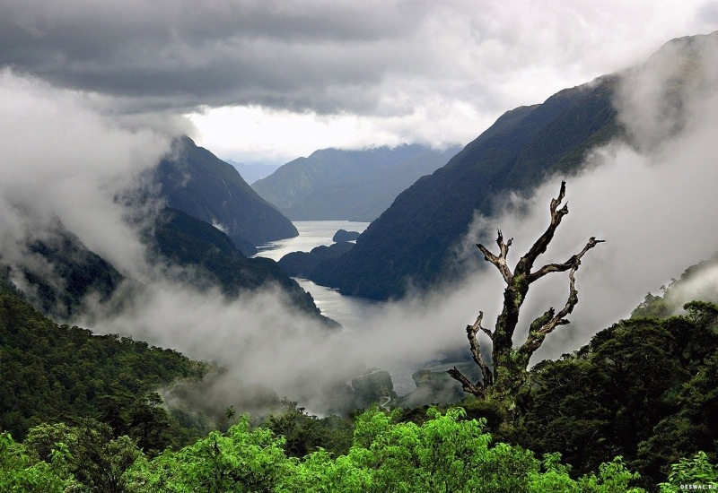 10 удивительных фактов о Новой Зеландии