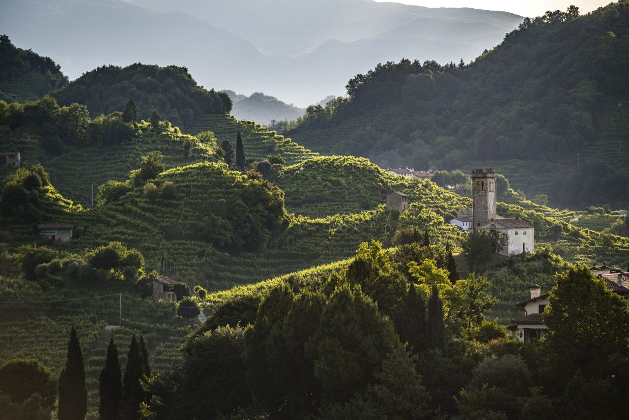 Виноградники в Италии