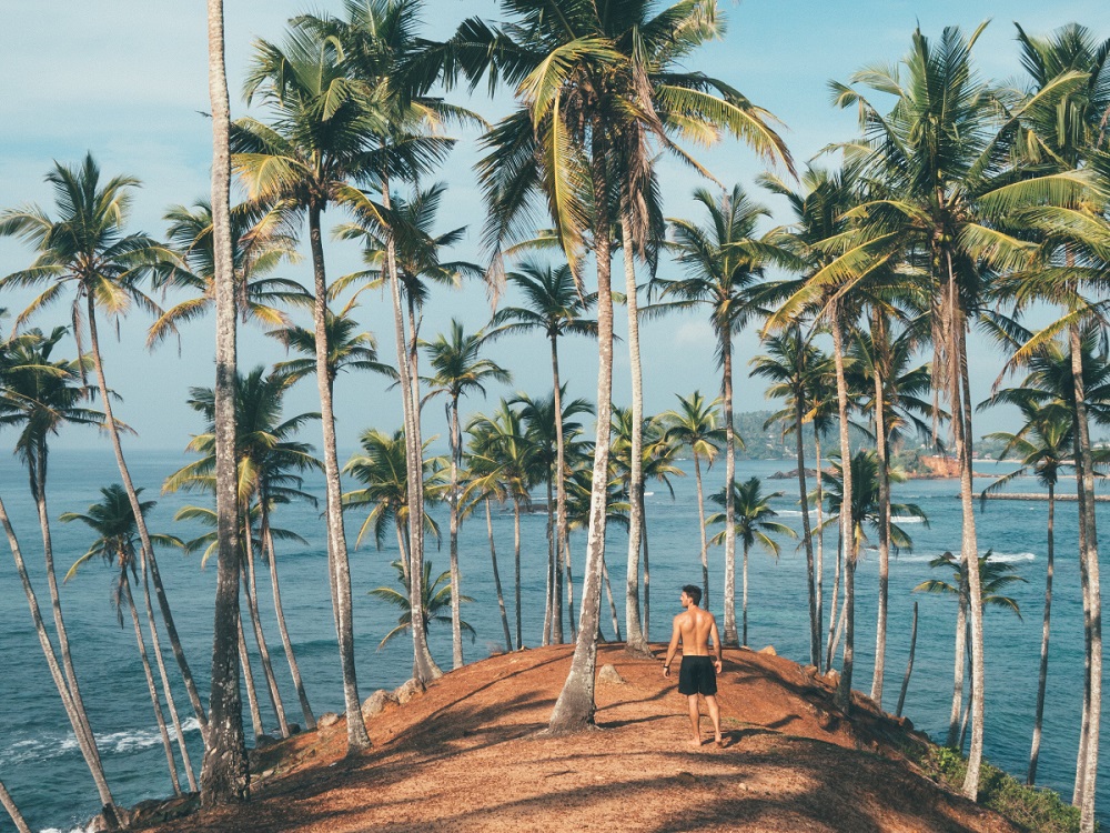 Пляжный отдых в Шри-Ланке: где остановиться?