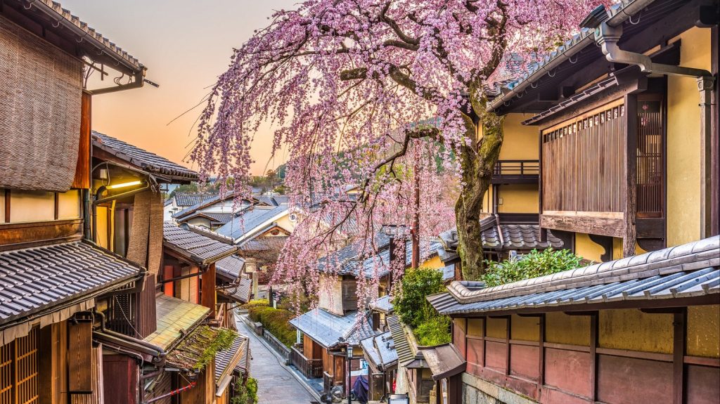 Неделя в Японии: что посмотреть в стране восходящего солнца
