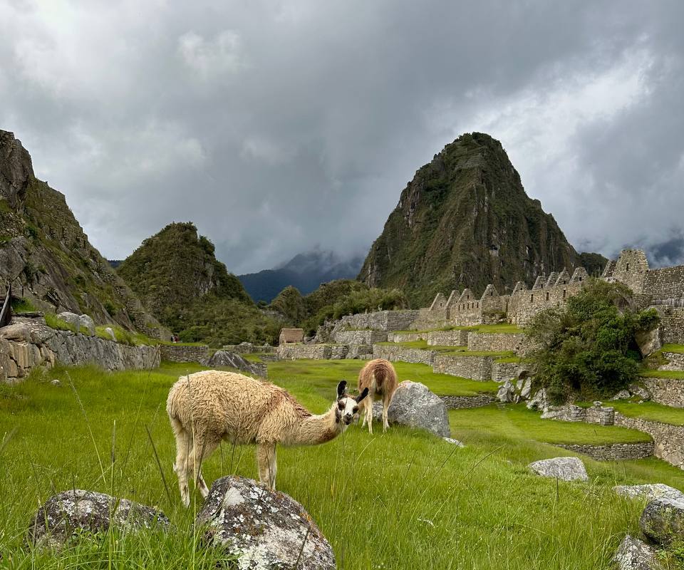 Таинственный город инков в Перу и волшебная лагуна — едем в Мачу-Пикчу и к Умантай