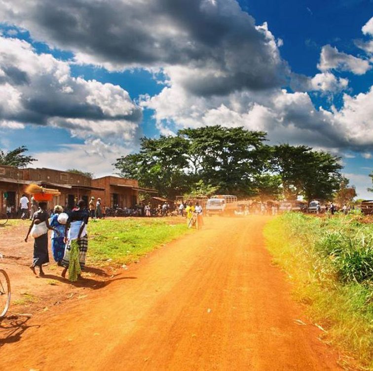 Новое требование для поездки в Уганду: обязательная вакцинация против жёлтой лихорадки