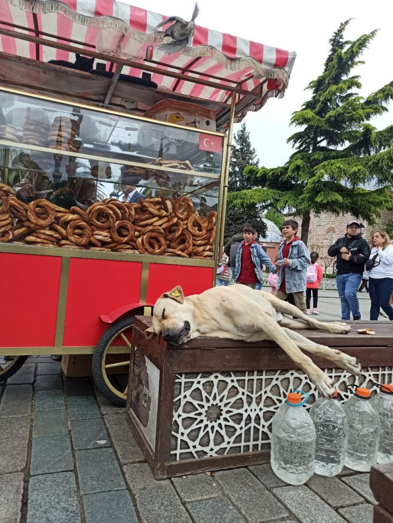 Личный опыт: Стамбул — сердце восточной сказки