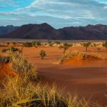Марсианские пейзажи в блеске алмазов — едем в пустыню Намиб
